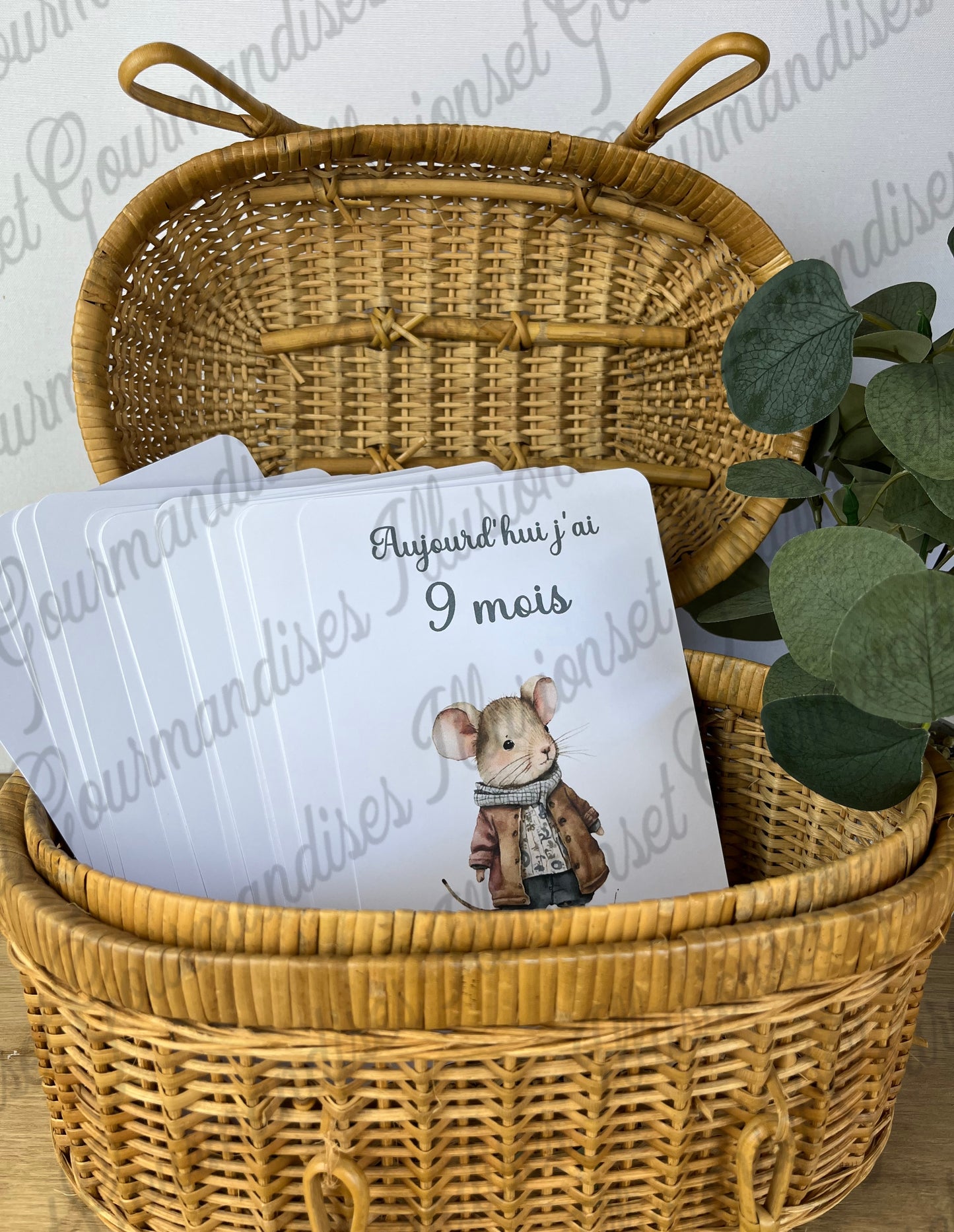 COFFRET CARTES ETAPES MARCEAU LE SOURICEAU