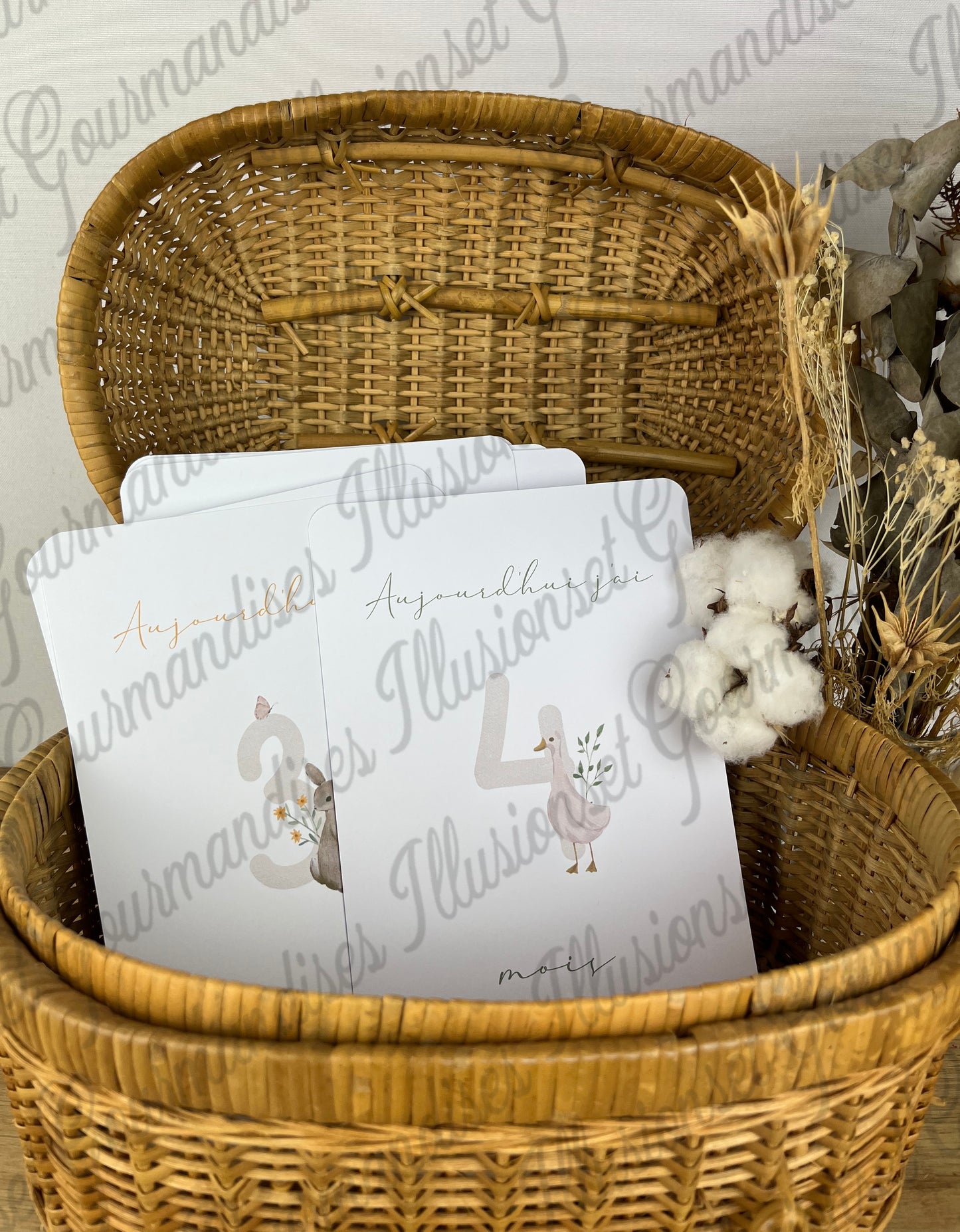 CARTES ETAPES PETITS ANIMAUX